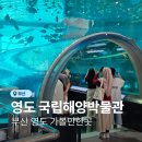 부산 영도 국립해양박물관 아쿠아리움 미디어 전시 후기