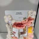 유웰항외과의원 이미지