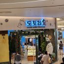 [230429] 주륵주륵 비가 오는데 밖을 왜 나가냐고요