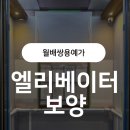 월배쌍용예가 | [달서구 월배쌍용예가] 인테리어 공사 전 필수! 엘리베이터 보양 이렇게 진행했습니다