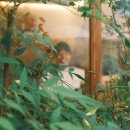 커들리 - 금천구 금하로29길 12 | 커들리