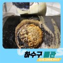 금강엔진 | 오류동 아파트 전 세대 배수 불량 사태, 메인 배관 뚫어낸 오류동아파트하수구고압세척 완벽 해결 후기