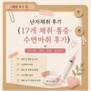 마리아 | 평촌 마리아 시험관 후기③｜난자채취 후기 (수면마취·통증·회복)