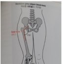 천세봉한의원 이미지