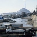 금강비철 이미지