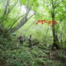광산골식당 네이버블로그