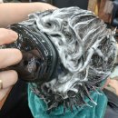 정원미용실 이미지