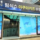 팀식스아쿠아키즈 이미지