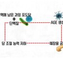 강남식품 이미지