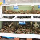 영덕대게식당 이미지