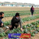 정주농장 이미지