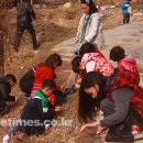 외간초등학교 (주)거제타임즈