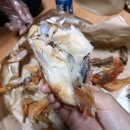 가마치통닭(봉화산점)