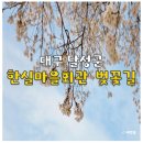 달구벌대로109길 | 대구 근교 벚꽃 명소 추천 다사 인근 하빈 한실마을 시골길