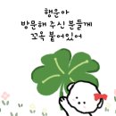 꿈에그린크리닝 이미지