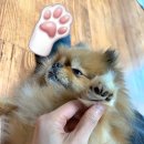 베스트마트 진주점 이미지