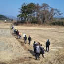 아름다운소리 가곡교실 | 고청기념사업회 주관 경주 남산을 교실 삼다 고청윤경렬 남산순례 13길에서 배우는 경주 남산 이야기