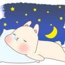 로이드밤익산