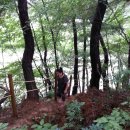 녹색마을길 이미지