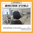 [공지] 분당미금역 미용실 헤어다이아 보브컷과 빌드펌으로 단정하게 변신 후기