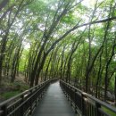 () 구로구와 양천구의 상큼한 뒷동산, 능골산~신정산 ＜능골산자락길, 신정산둘레길, 구로올레길, 신월동 열녀문＞ 이미지