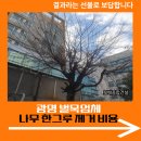 동남연립 | 광명 벌목업체 나무 한 그루 제거 비용
