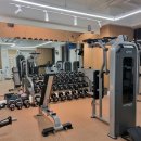 프로그램뱅크(주) | 해운대pt 헬스뱅크 운동한후기