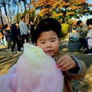 화랑김홍도축제10/26. 이미지