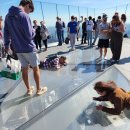 엣지 | 뉴욕 엣지 전망대 후기 예약 포토존 무료입장 총정리