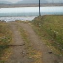 원동면사무소 이미지