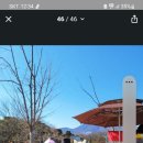 여수솜사탕