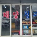 태양청과 이미지