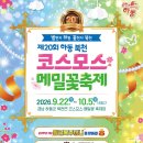 하동 북천 코스모스메밀꽃 축제 개막 이미지