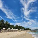 도도독A | 삼척 문암해수욕장 캠핑장, 해수욕과 스노쿨링, 조개잡이 스팟 !