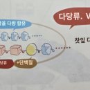 2장 차의 품질을 결정하는 7가지 물질 63p수정 이미지