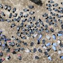 양정시장 이미지