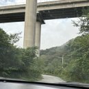 성주숲속작은집민박 | 전북 완주여행 조용한 독채 감성숙소 추천, 숲속의 작은집