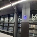 용인대 청룡 태권도 이미지