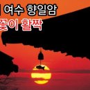담양대숲다원