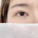 보니떼 네이버블로그