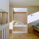 부에나두모 이미지