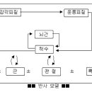 운동조절이론 이미지