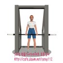 스미스 머신 쉬러그 (Smith Machine Shrugs) 이미지