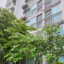 늦게 피는 꽃 이미지