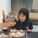 카츠탐 이미지