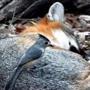 경기시흥_금강2차아파트 네이버블로그