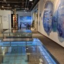 신안갯벌박물관 이미지