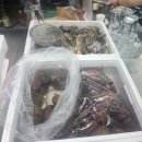 남원집 | 의정부 제일시장 지하 음식 백화점 [남원집 ] 재방문한 내 돈 내산 후기