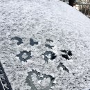 예담소아청소년과병원 이미지