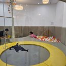 구민약국 | 도담도담나눔터 상계8동점, 2세부터 6세까지 다녀본 기록